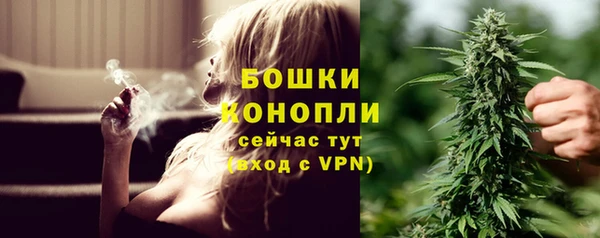 mdpv Богородицк