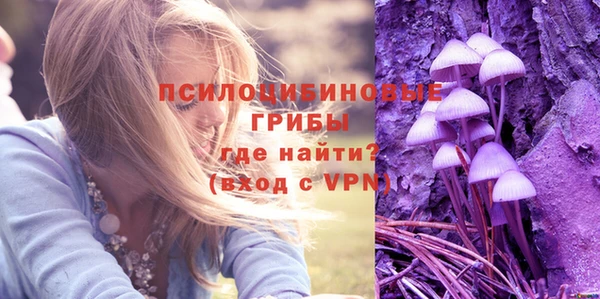 COCAINE Богородск