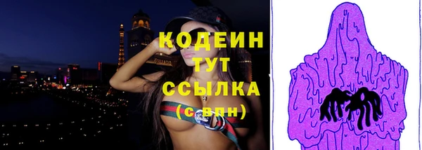 метадон Богданович