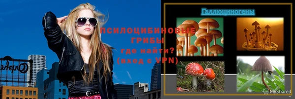 метадон Богданович