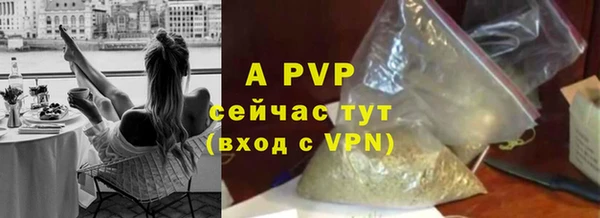 метадон Богданович