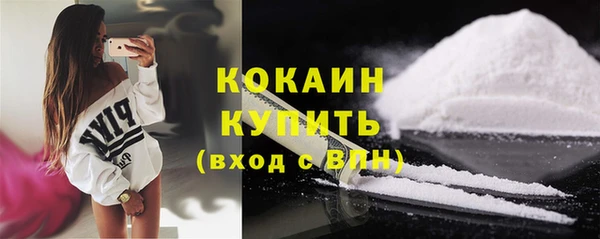 mdpv Богородицк
