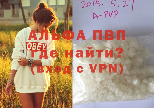 метадон Богданович