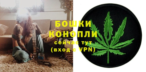 mdpv Богородицк