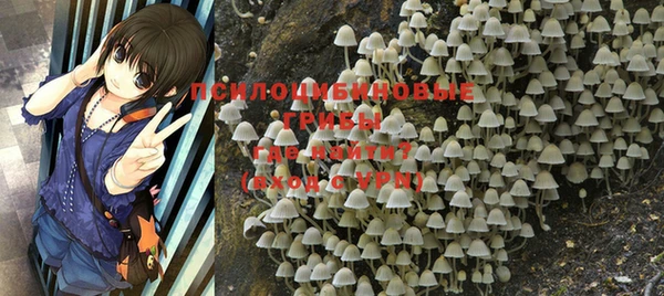 метадон Богданович