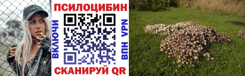 Псилоцибиновые грибы мухоморы Пионерский